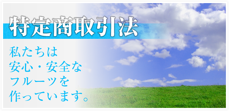 特定商取引法に基づく表記について